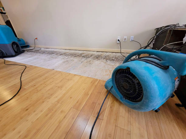 Professional Sewage Cleanup technician working in Fletcher, MO